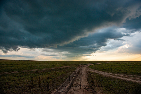 20190606_africa_6577.jpg