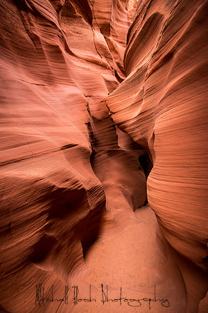 20140725_horseshoe_bend_0186