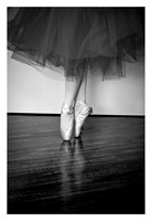Art Of Dance Black & White