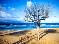 Hawaii