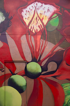 20150124_graffitti_0237-Edit