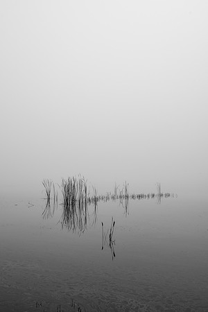 20141227_mount_dora_0069