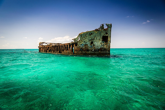 20140823_cat_cay_0455