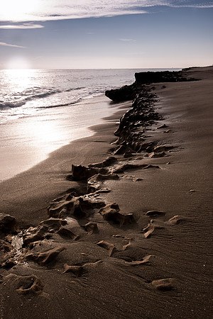 20141211_blowing_rock_preserve_0306