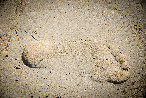 20140823_cat_cay_0551