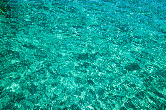 20140823_cat_cay_0479