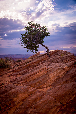 20140725_horseshoe_bend_0358