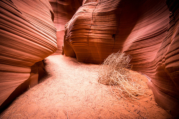 20140725_horseshoe_bend_0276