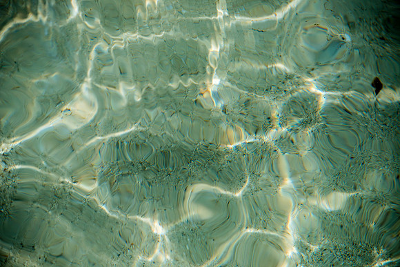 20140823_cat_cay_0560