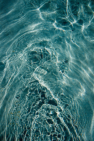 20140823_cat_cay_0595