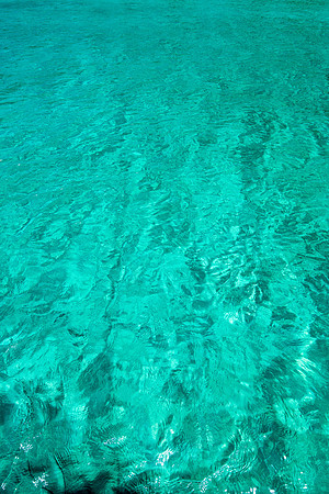 20140823_cat_cay_0473