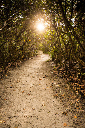 20141211_blowing_rock_preserve_0219-Edit