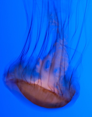 _DSC0143-2-Edit